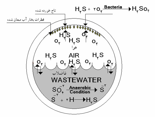 تولید هیدروژن سولفاید و تخریب تاج لوله فاضلاب